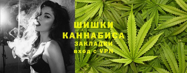 ECSTASY Богданович